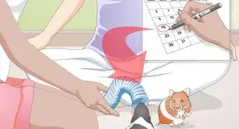 Make Your Hamster Happy