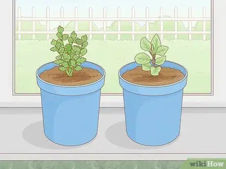 Image titled Care for a Garden (for Renters) Step 9