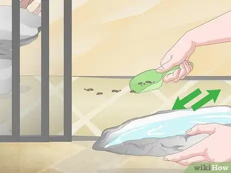 Image titled Care for a Green Iguana Hatchling Step 14