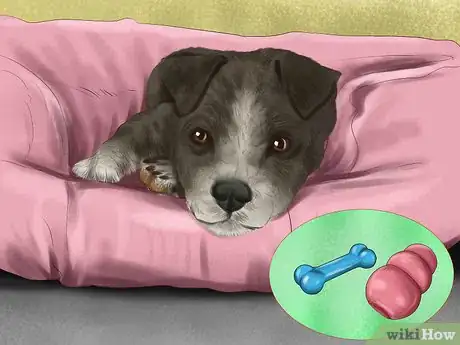 Image titled Prepare Your Small Dog for Apartment Living Step 9