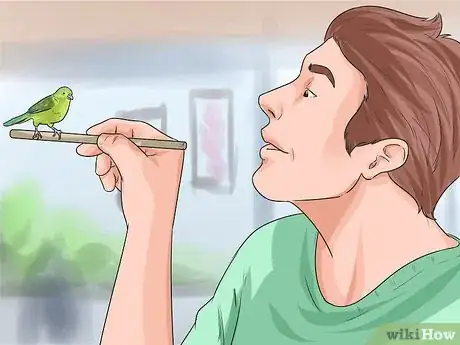 Image titled Perch Train Your Parakeet Step 6