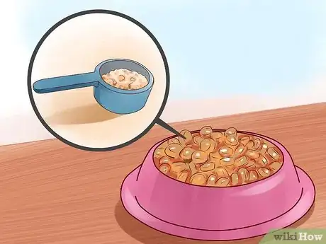 Image titled Care for American Longhair Cats Step 5