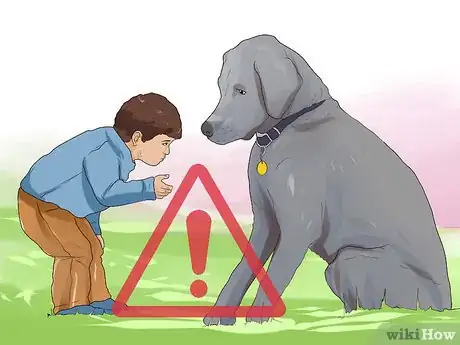 Image titled Walk a Big Dog As a Kid Step 10