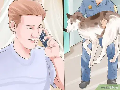 Image titled Check Dog Breed Bans Step 3