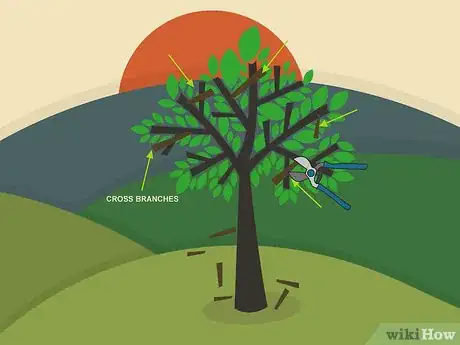 Image titled Prune Walnut Trees Step 05