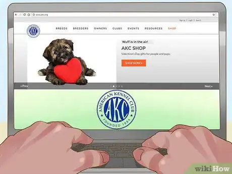 Image titled Get a Companion Dog for an Existing Dog Step 6