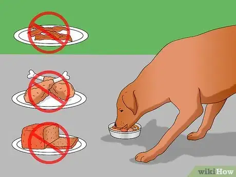 Image titled Keep Your Dog in Shape Step 12