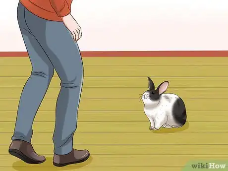 Image titled Socialize Your Rabbit Step 1