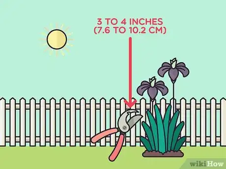 Image titled Store Iris Bulbs Step 4