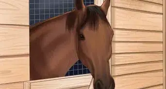 Care for Your Horse In the Winter