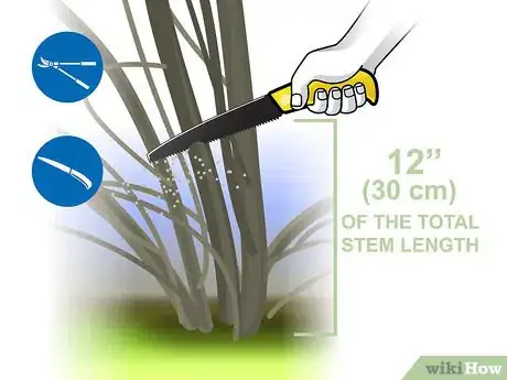 Image titled Prune Forsythia Step 05