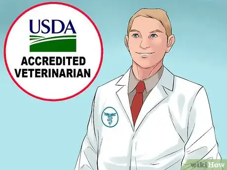 Image titled Bring a Dog to the Country of Panama Step 3