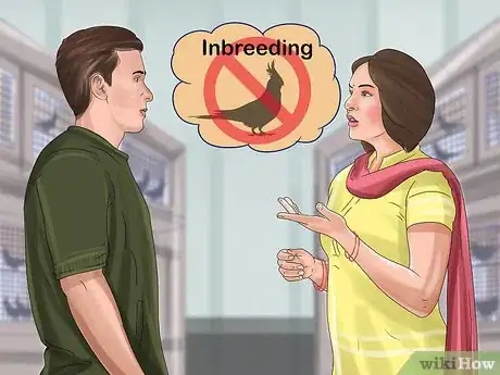 Image titled Pick a Cockatiel Step 8