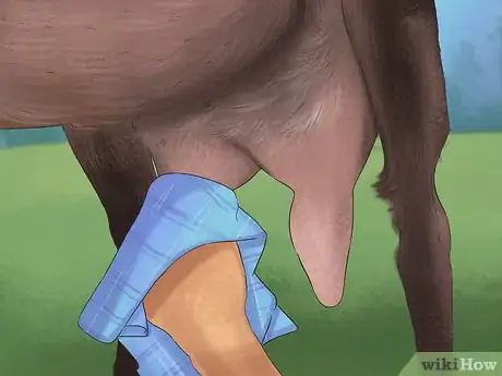 Image titled Tell if a Goat Is Pregnant Step 3