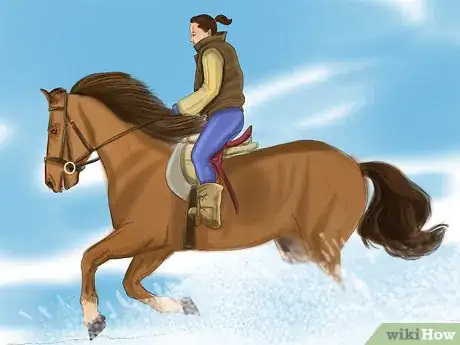 Image titled Care for Your Horse In the Winter Step 13