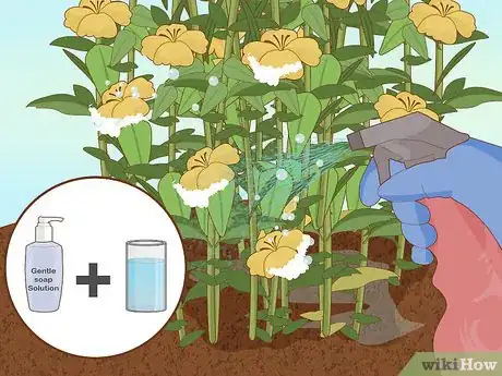 Image titled Plant Snowdrops Step 7