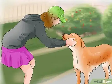 Image titled Treat Hypothyroidism in Golden Retrievers Step 10