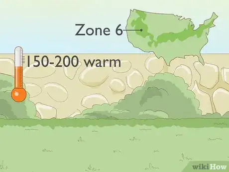 Image titled Grow Loofah Sponges Step 1