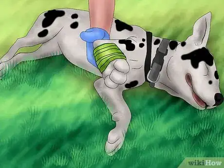 Image titled Splint a Dog's Leg Step 5