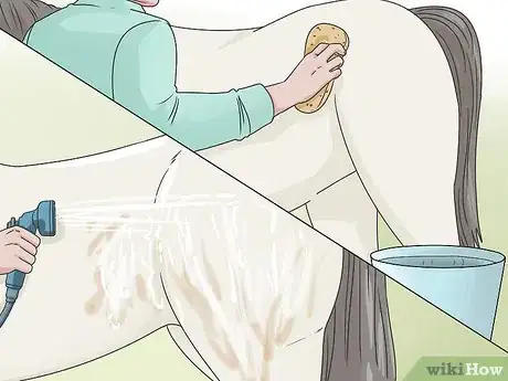 Image titled Clean a Horse Step 8