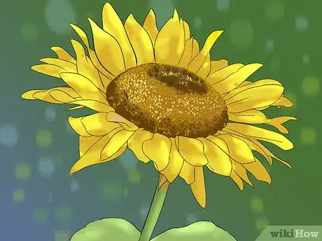 Image titled Celebrate Wholesome Bliss Step 1Bullet11