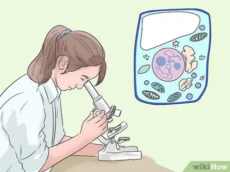 Image titled Think of Fourth Grade Science Project Ideas Step 6