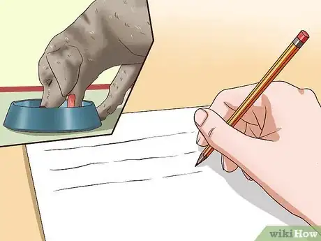 Image titled Solve Your Dog's Skin and Scratching Problems Step 14