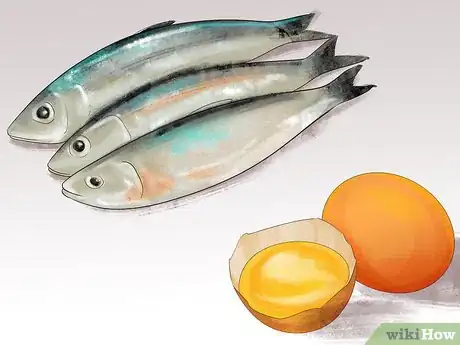 Image titled Help an Itching Dog Step 6