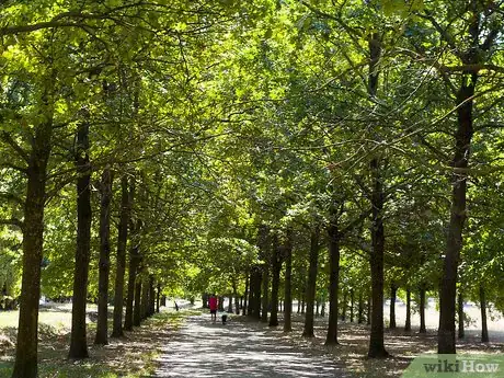 Image titled Be Respectfully Righteous Step 8