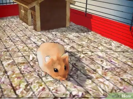 Image titled Disinfect a Hamster's Cage Step 10