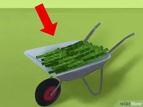 Image titled Harvest Sugar Cane Step 5