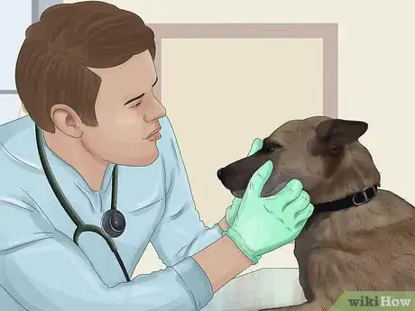 Image titled Treat a Dog for Rabies Step 18