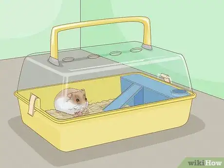 Image titled Carry a Hamster Step 11