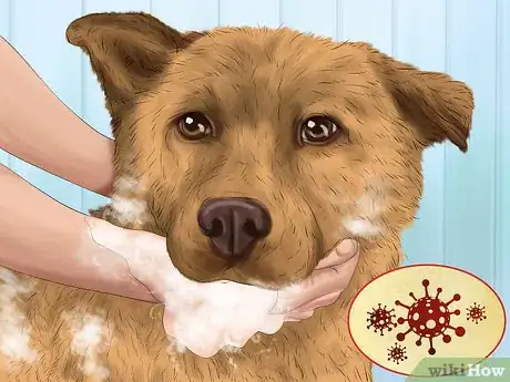 Image titled Keep a Mother Dog Healthy Postpartum Step 2