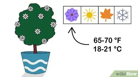 Image titled Care for a Gardenia Step 1