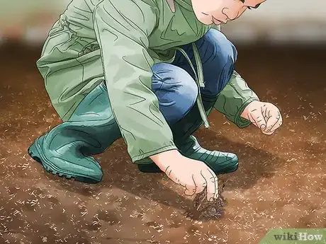 Image titled Get Rid of Toads in Your Yard Step 7