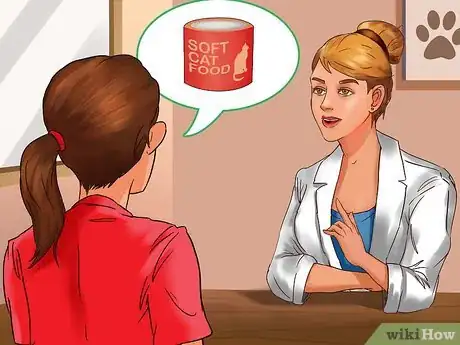 Image titled Take Care of Your Aging Cat Step 6