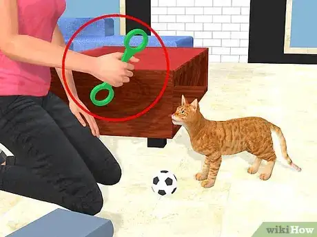 Image titled Solve Cat Book and Furniture Chewing Step 5