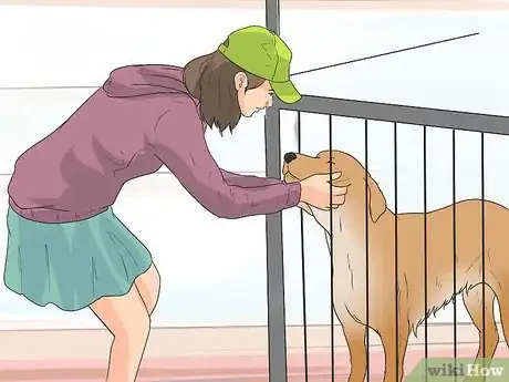 Image titled Get Your Golden Retriever to Shed Less Step 9