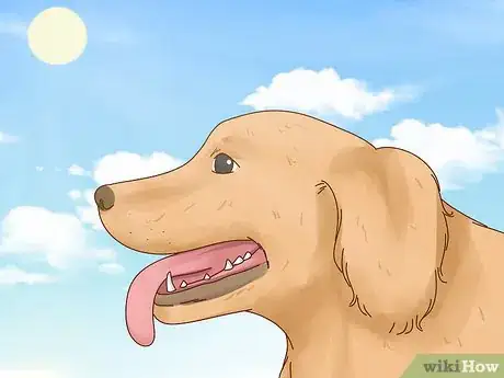 Image titled Recognize Signs of Anxiety in Dogs Step 23