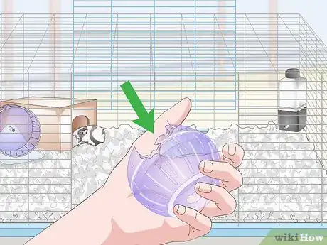 Image titled House a Pet Guinea Pig Step 17