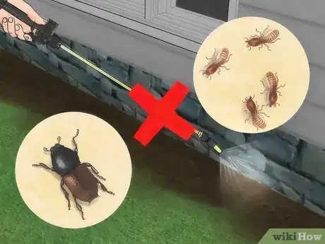 Image titled Eat an Insect or Arachnid Step 15