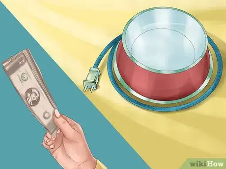 Image titled Get a Cat Used to Snow Step 3