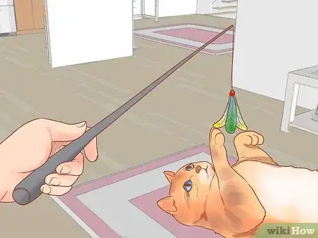 Image titled Become a Cat Person Step 5