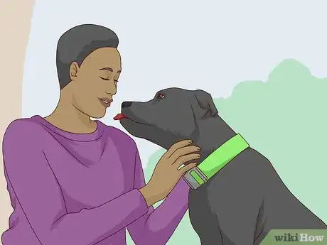 Image titled Get Your Dog Used to a Collar Step 4