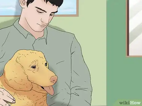 Image titled Keep Your Dog Calm After Neutering Step 3