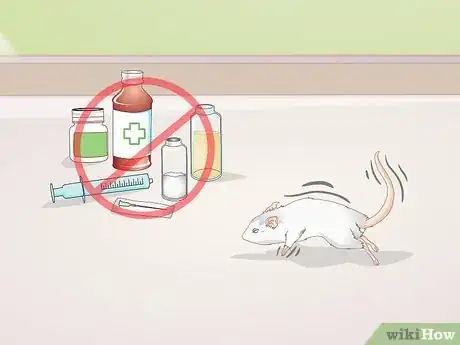 Image titled Know if Your Gerbil Is Having a Seizure Step 8