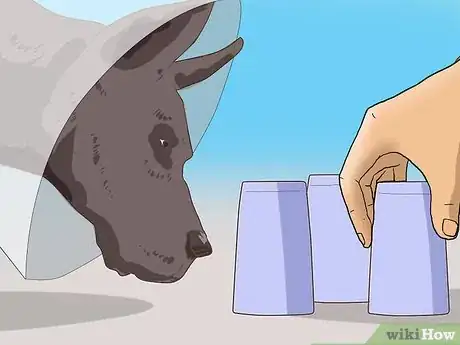 Image titled Keep Your Dog Calm After Neutering Step 9