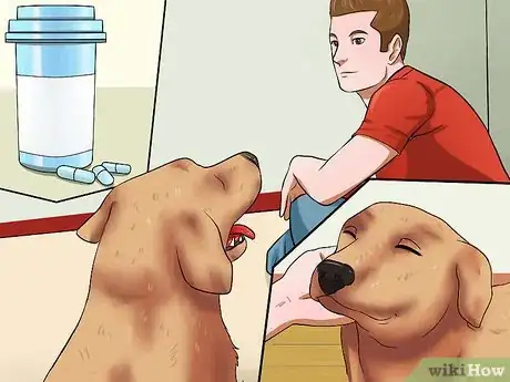 Image titled Diagnose Dog Flu Step 7