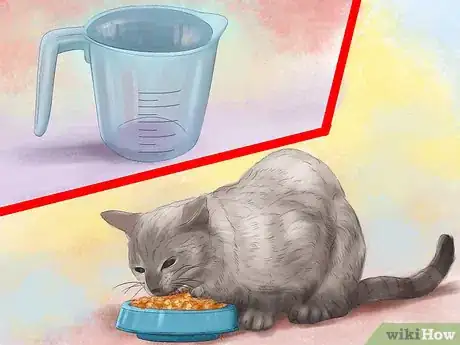 Image titled Spot Feline Diabetes Step 4